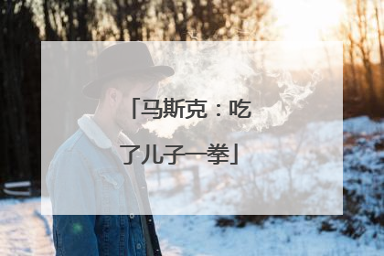 马斯克：吃了儿子一拳