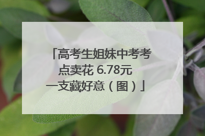 高考生姐妹中考考点卖花 6.78元一支藏好意（图）