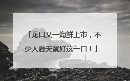 龙口又一海鲜上市，不少人夏天就好这一口！