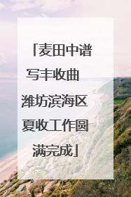 麦田中谱写丰收曲 潍坊滨海区夏收工作圆满完成