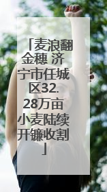 麦浪翻金穗 济宁市任城区32.28万亩小麦陆续开镰收割
