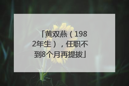 黄双燕（1982年生），任职不到8个月再提拔