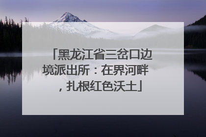 黑龙江省三岔口边境派出所：在界河畔，扎根红色沃土
