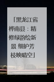 黑龙江省桦南县：精修绿韵绘新景 细护芳枝映晴空