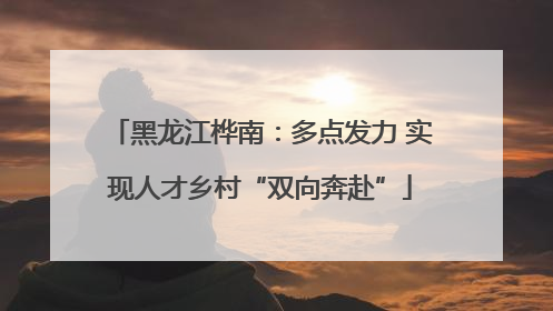黑龙江桦南：多点发力 实现人才乡村“双向奔赴”