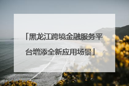 黑龙江跨境金融服务平台增添全新应用场景