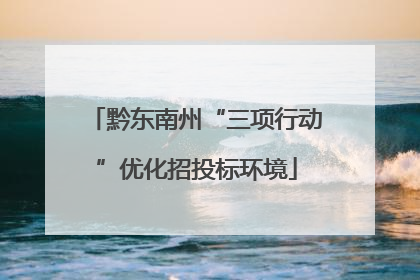 黔东南州“三项行动”优化招投标环境