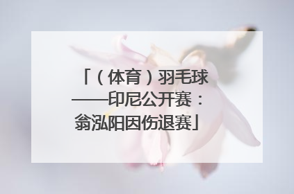 （体育）羽毛球——印尼公开赛：翁泓阳因伤退赛