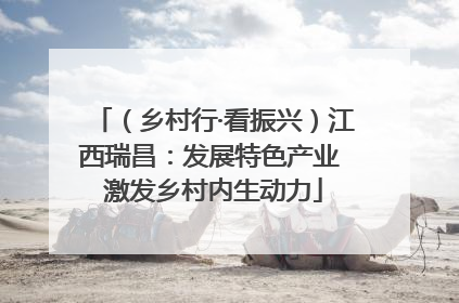（乡村行·看振兴）江西瑞昌：发展特色产业 激发乡村内生动力