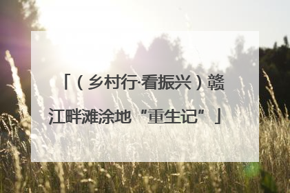（乡村行·看振兴）赣江畔滩涂地“重生记”