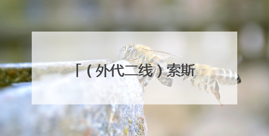 （外代二线）索斯托动物园的黑天鹅