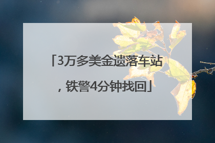 3万多美金遗落车站，铁警4分钟找回
