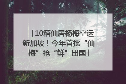 10箱仙居杨梅空运新加坡！今年首批“仙梅”抢“鲜”出国