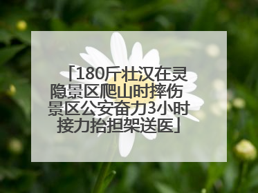 180斤壮汉在灵隐景区爬山时摔伤 景区公安奋力3小时接力抬担架送医