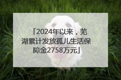 2024年以来，芜湖累计发放孤儿生活保障金2758万元