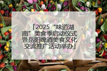 2025“味道湖南”美食季启动仪式暨岳阳啤酒美食文化交流推广活动举办