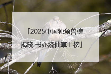 2025中国独角兽榜揭晓 书亦烧仙草上榜