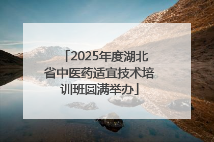 2025年度湖北省中医药适宜技术培训班圆满举办