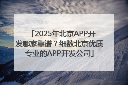 2025年北京APP开发哪家靠谱？细数北京优质专业的APP开发公司