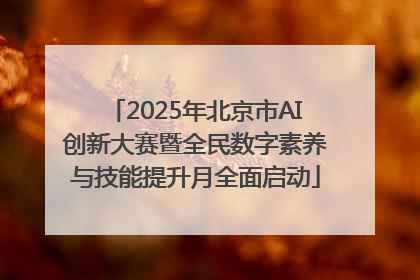 2025年北京市AI创新大赛暨全民数字素养与技能提升月全面启动
