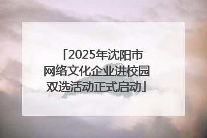 2025年沈阳市网络文化企业进校园双选活动正式启动