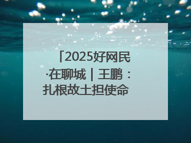 2025好网民·在聊城｜王鹏：扎根故土担使命 妙笔著文扬正气
