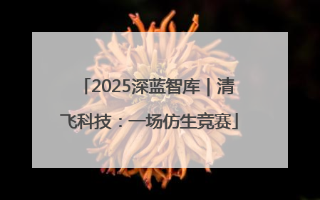 2025深蓝智库｜清飞科技：一场仿生竞赛