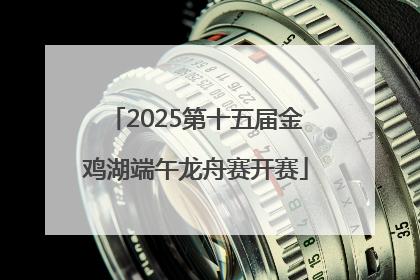2025第十五届金鸡湖端午龙舟赛开赛