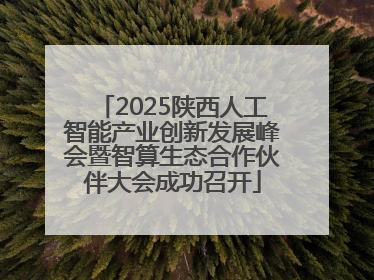 2025陕西人工智能产业创新发展峰会暨智算生态合作伙伴大会成功召开