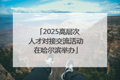 2025高层次人才对接交流活动在哈尔滨举办