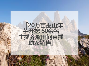 20万亩巫山洋芋开挖 60余名主播齐聚田间直播助农销售
