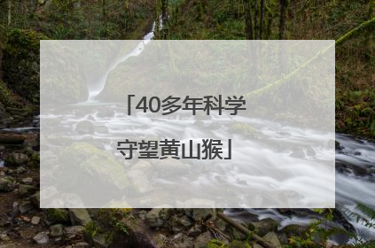 40多年科学守望黄山猴
