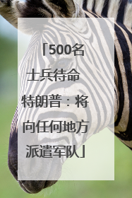 500名士兵待命 特朗普：将向任何地方派遣军队
