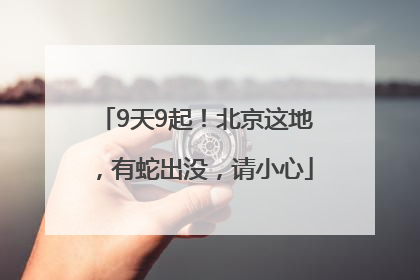 9天9起！北京这地，有蛇出没，请小心
