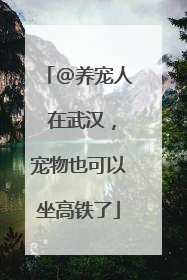 @养宠人 在武汉，宠物也可以坐高铁了