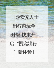 @爱宠人士 出行游玩全升级 快来开启“携宠出行”新体验
