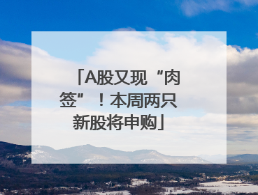 A股又现“肉签”！本周两只新股将申购