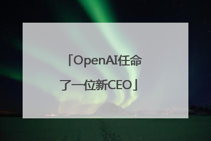 OpenAI任命了一位新CEO
